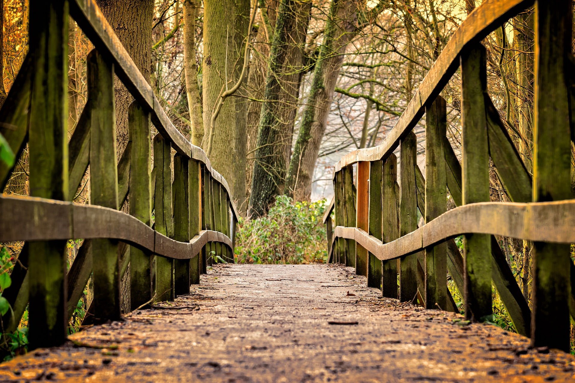 Bridge. Image credit: Peter H from Pixabay.