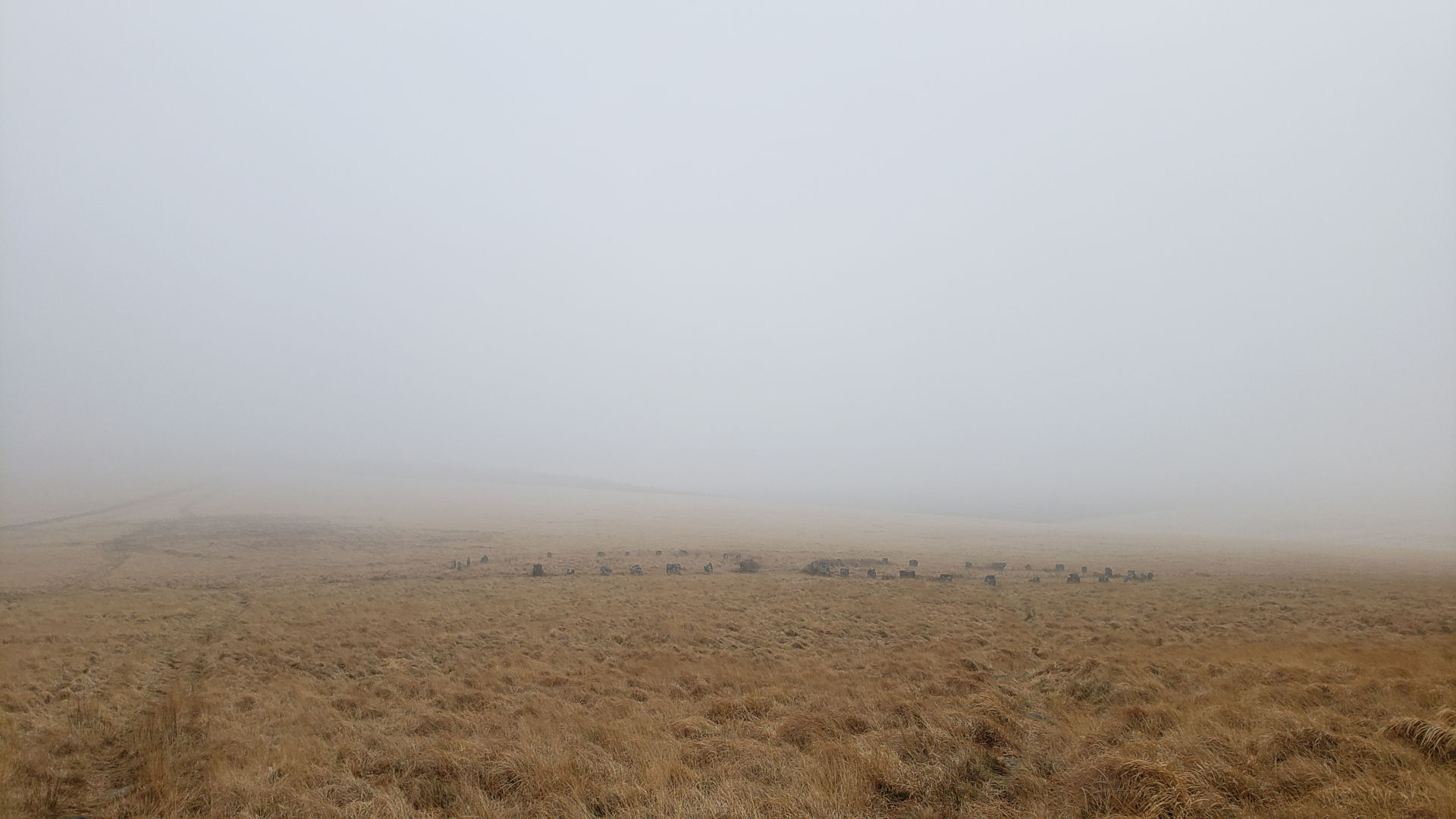 Dartmoor mist