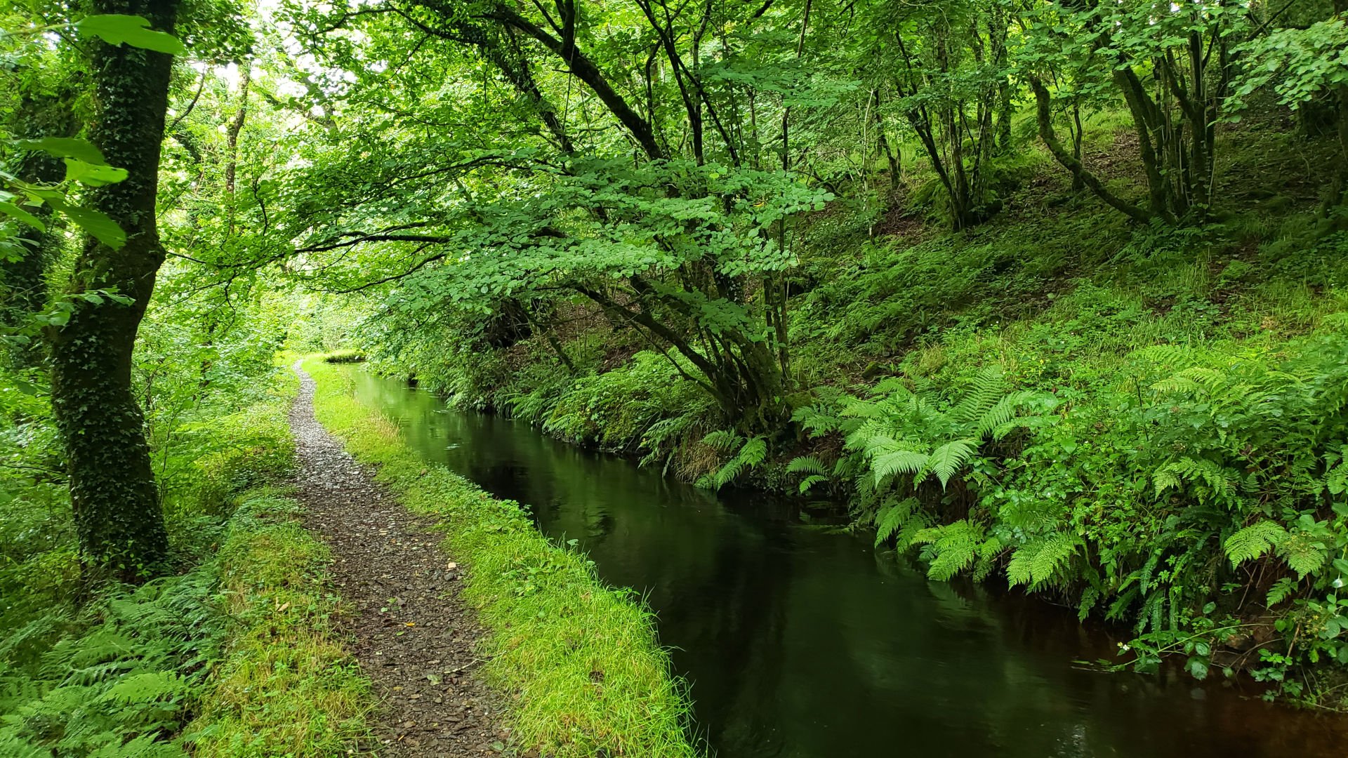 Path beside leat