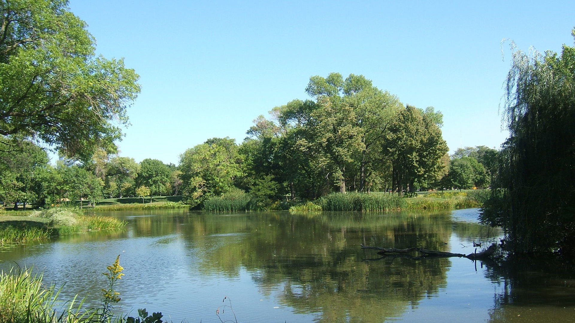 Pond. Photo credit: Marisela Alvarez from FreeImages.