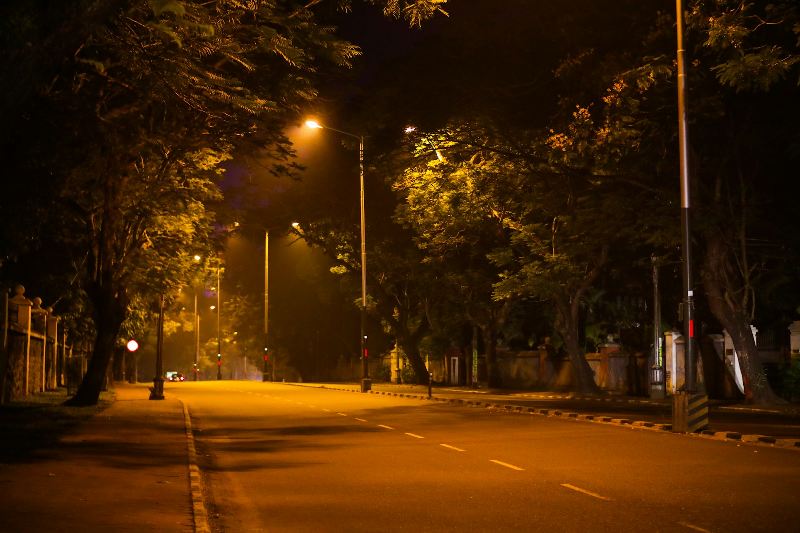 Streetlights and empty road at night. Photo credit: Sreehari Devadas on Unsplash.