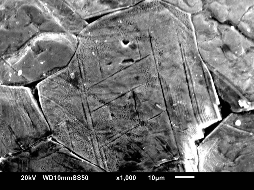 Meteorite under electron microscope