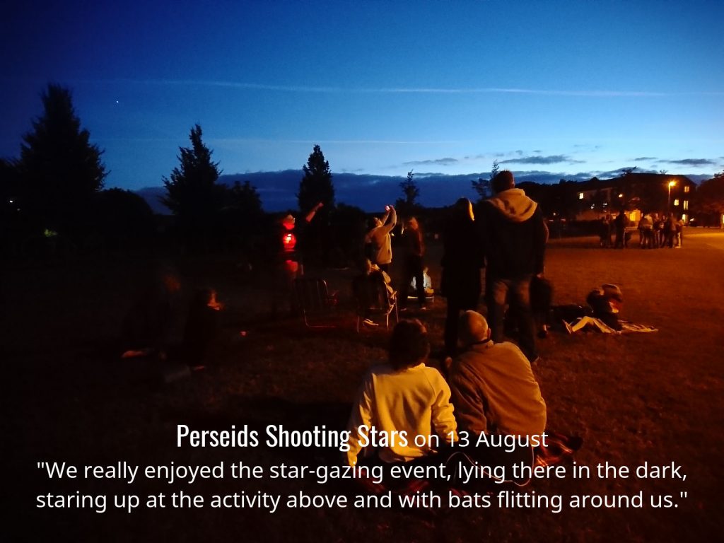 Perseids Shooting Stars, 13 August 2018